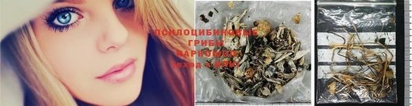 ALPHA PVP Баксан