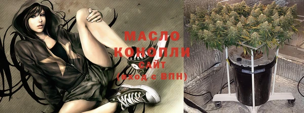 молекула духа Балахна