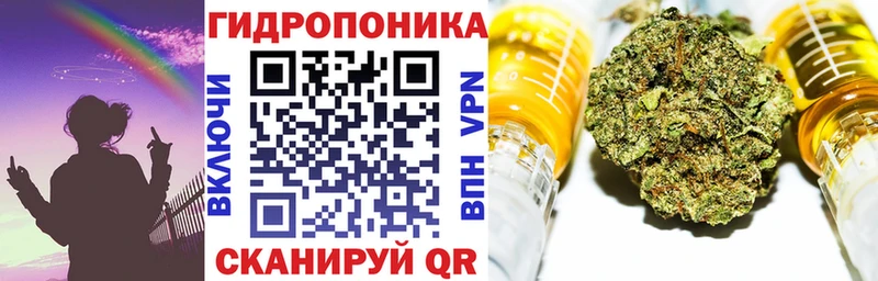 Марихуана план  цены   Лангепас 